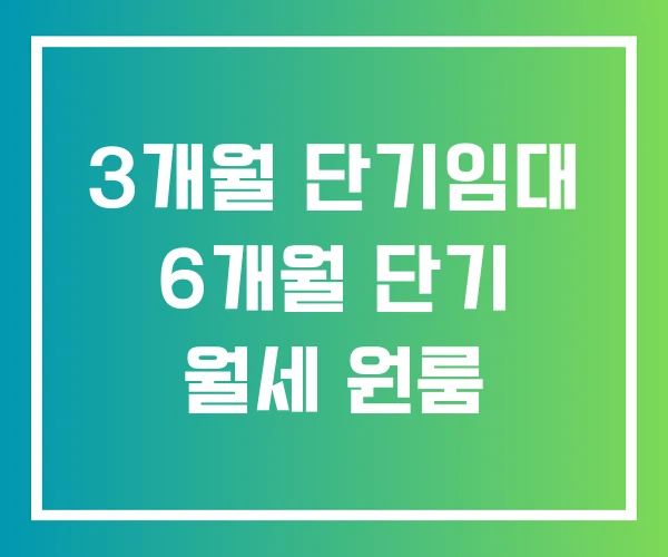 3개월 단기임대 6개월 단기 월세 원룸 3개월 단기임대 6개월 단기 월세 원룸