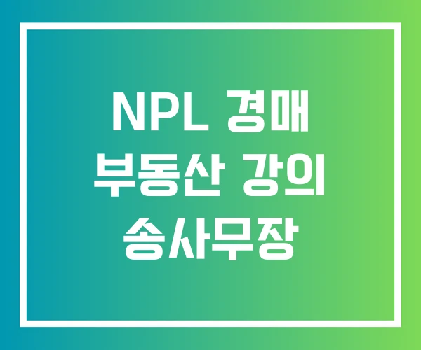 NPL 경매 부동산 강의 송사무장 NPL 경매 부동산 강의 송사무장