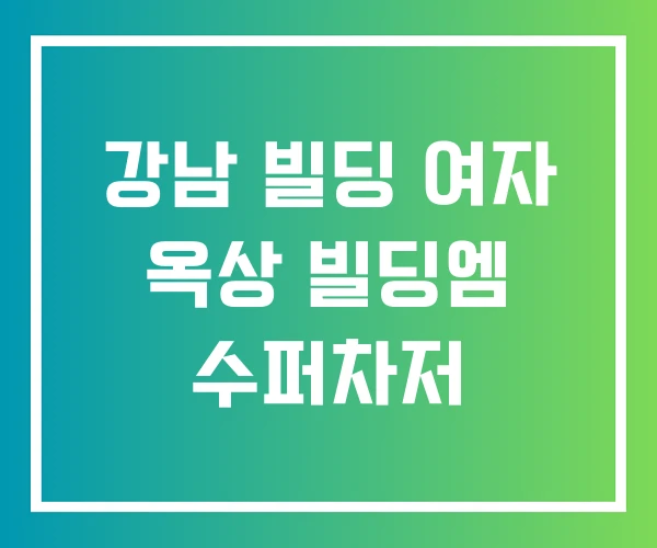 강남 빌딩 여자 옥상 빌딩엠 수퍼차저