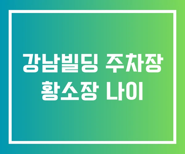 강남빌딩 주차장 황소장 나이 강남빌딩 주차장 황소장 나이