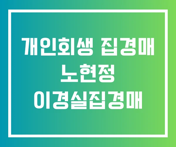 개인회생 집경매 노현정 이경실집경매