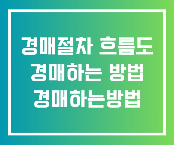 경매절차 흐름도 경매하는 방법 경매하는방법