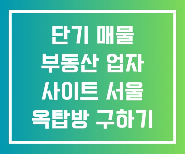 단기 매물 부동산 업자 사이트 서울 옥탑방 구하기