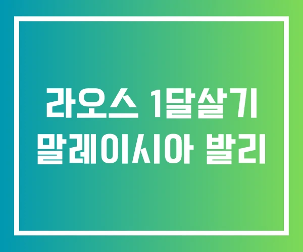 라오스 1달살기 말레이시아 발리