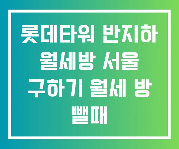 롯데타워 반지하 월세방 서울 구하기 월세 방 뺄때