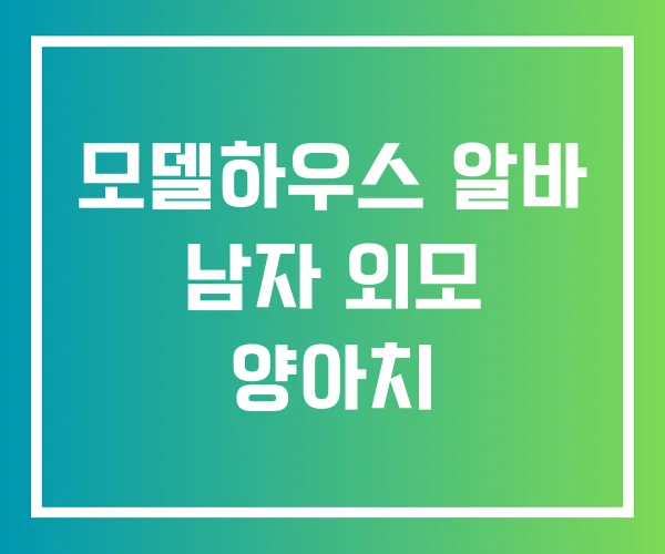 모델하우스 알바 남자 외모 양아치