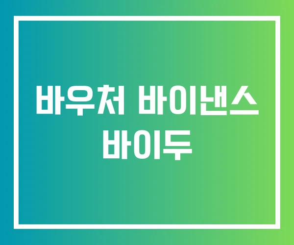 바우처 바이낸스 바이두 바우처 바이낸스 바이두