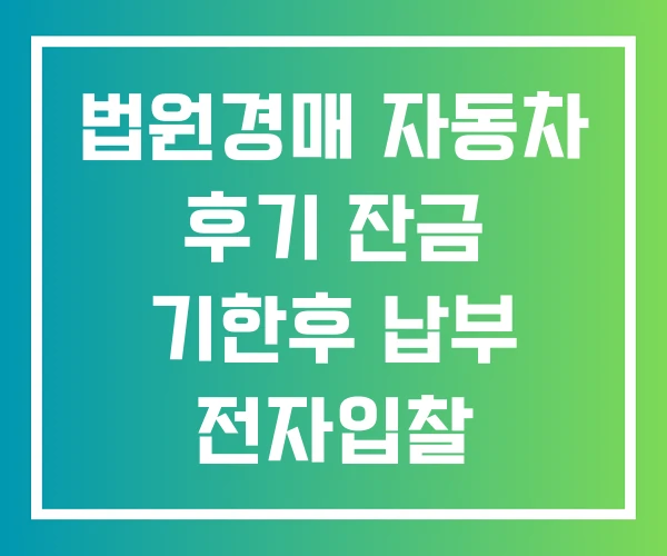 법원경매 자동차 후기 잔금 기한후 납부 전자입찰