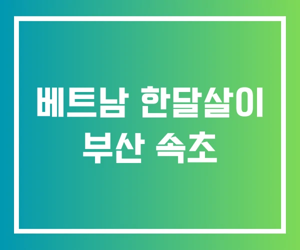 베트남 한달살이 부산 속초