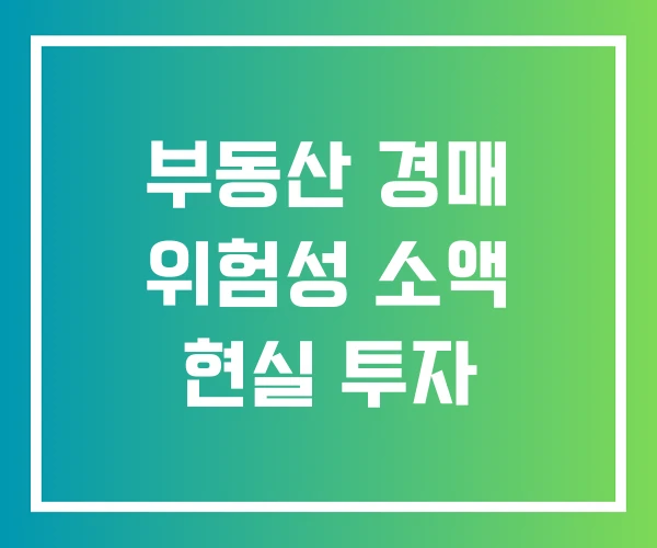 부동산 경매 위험성 소액 현실 투자