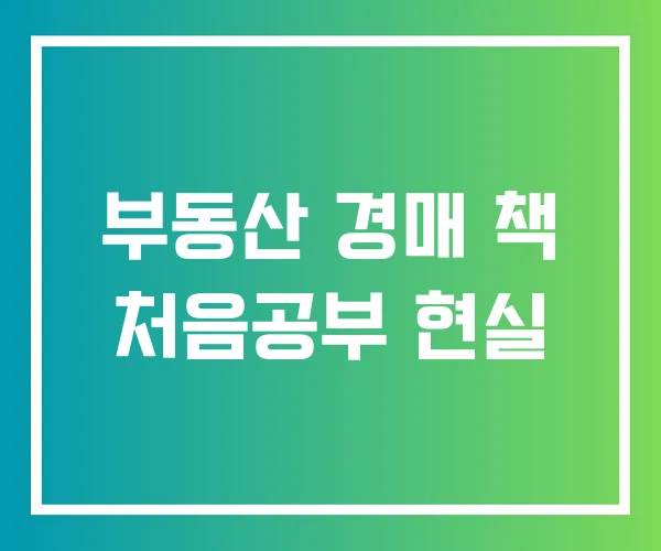 부동산 경매 책 처음공부 현실