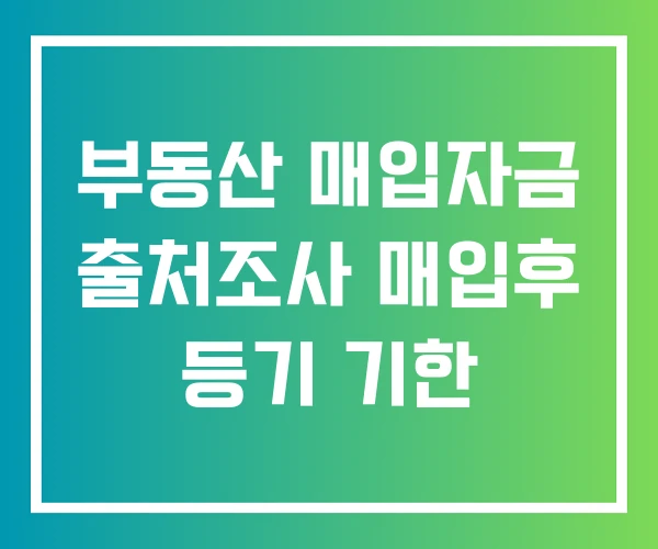 부동산 매입자금 출처조사 매입후 등기 기한