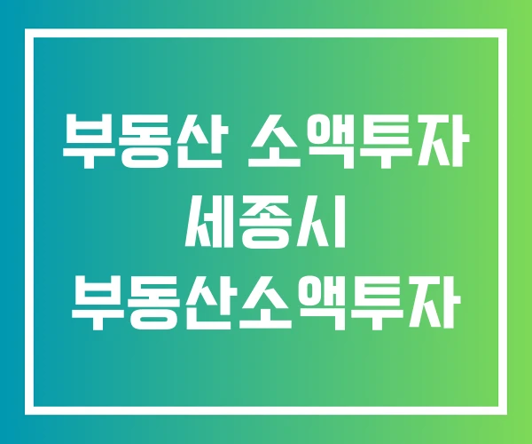 부동산 소액투자 세종시 부동산소액투자