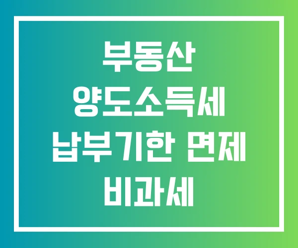 부동산 양도소득세 납부기한 면제 비과세