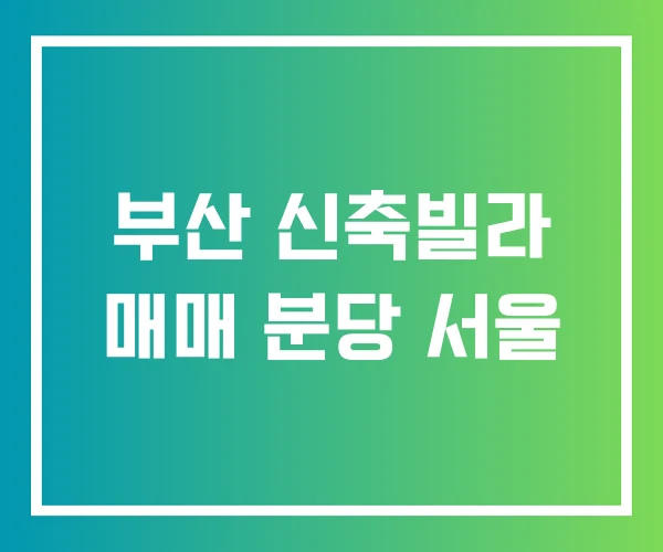 부산 신축빌라 매매 분당 서울