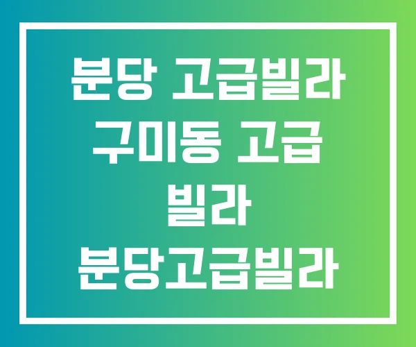 분당 고급빌라 구미동 고급 빌라 분당고급빌라