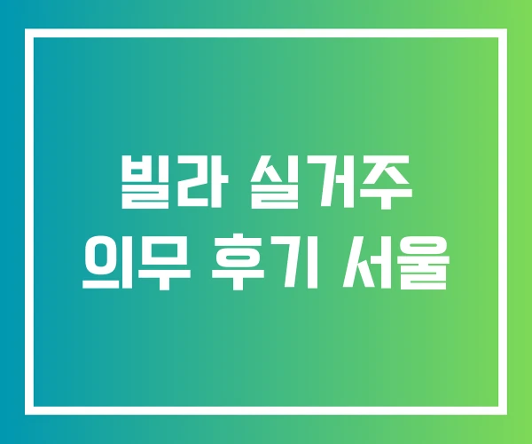 빌라 실거주 의무 후기 서울