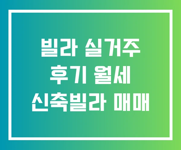 빌라 실거주 후기 월세 신축빌라 매매