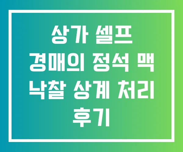 상가 셀프 경매의 정석 맥 낙찰 상계 처리 후기