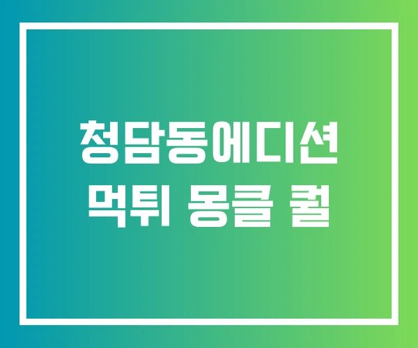 청담동에디션 먹튀 몽클 퀄